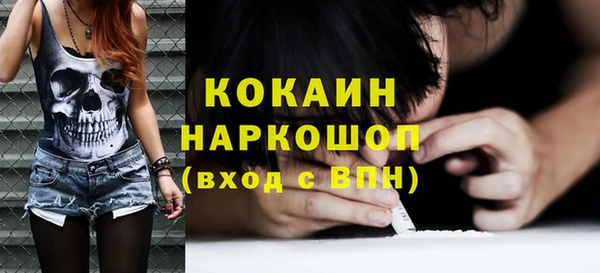 индика Алзамай