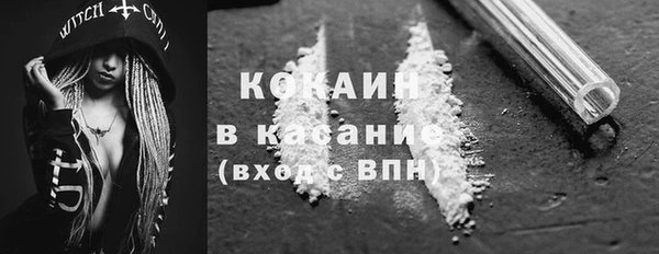 индика Алзамай