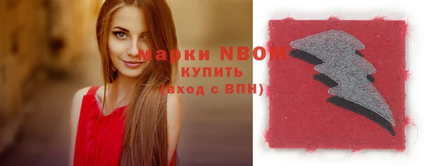 хмурый Алексин