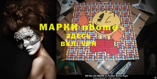хмурый Алексин