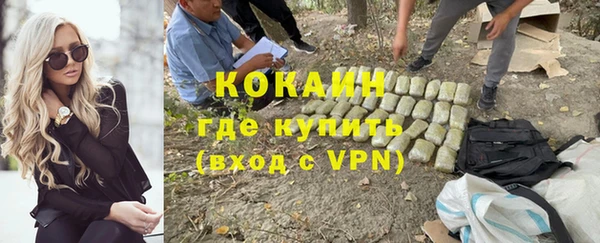 хмурый Алексин